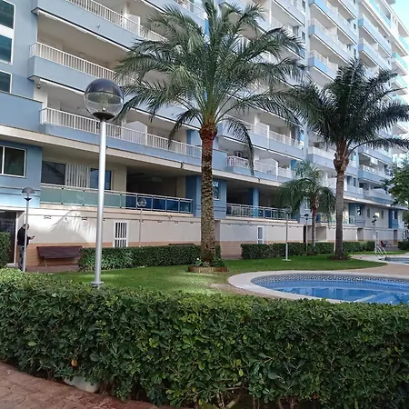 Palmeras Iii Solo Familias Serviplaya!!!