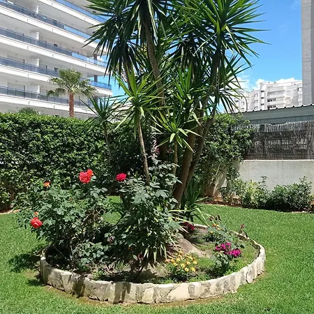 Palmeras Iii Solo Familias Serviplaya!!! גאנדיה