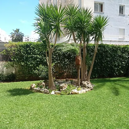 דירה Palmeras Iii Solo Familias Serviplaya!!! גאנדיה